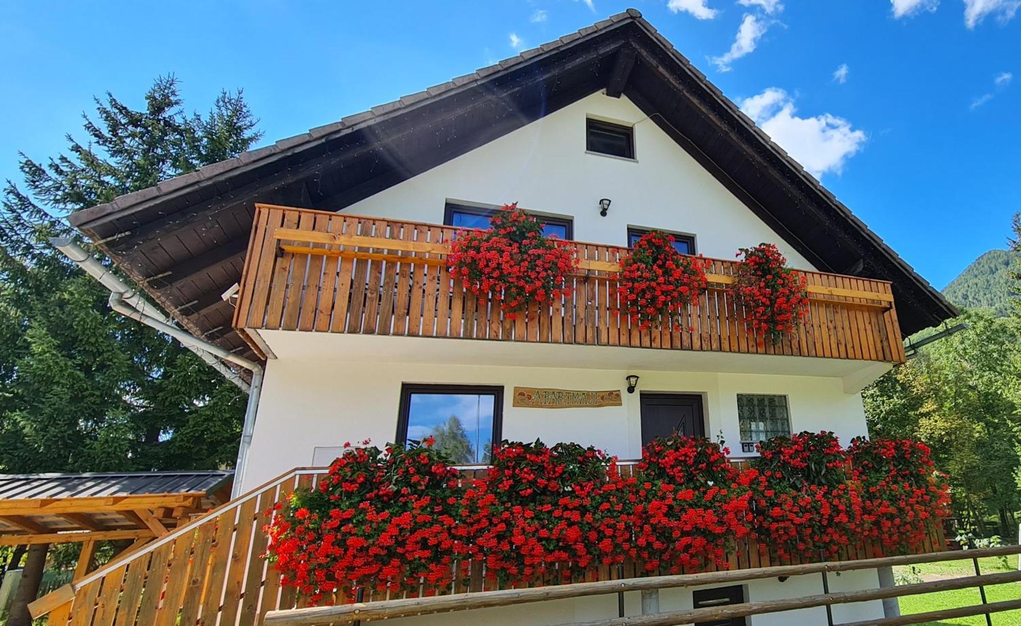Apartmaji Gaby Gozd Martuljek Bagian luar foto